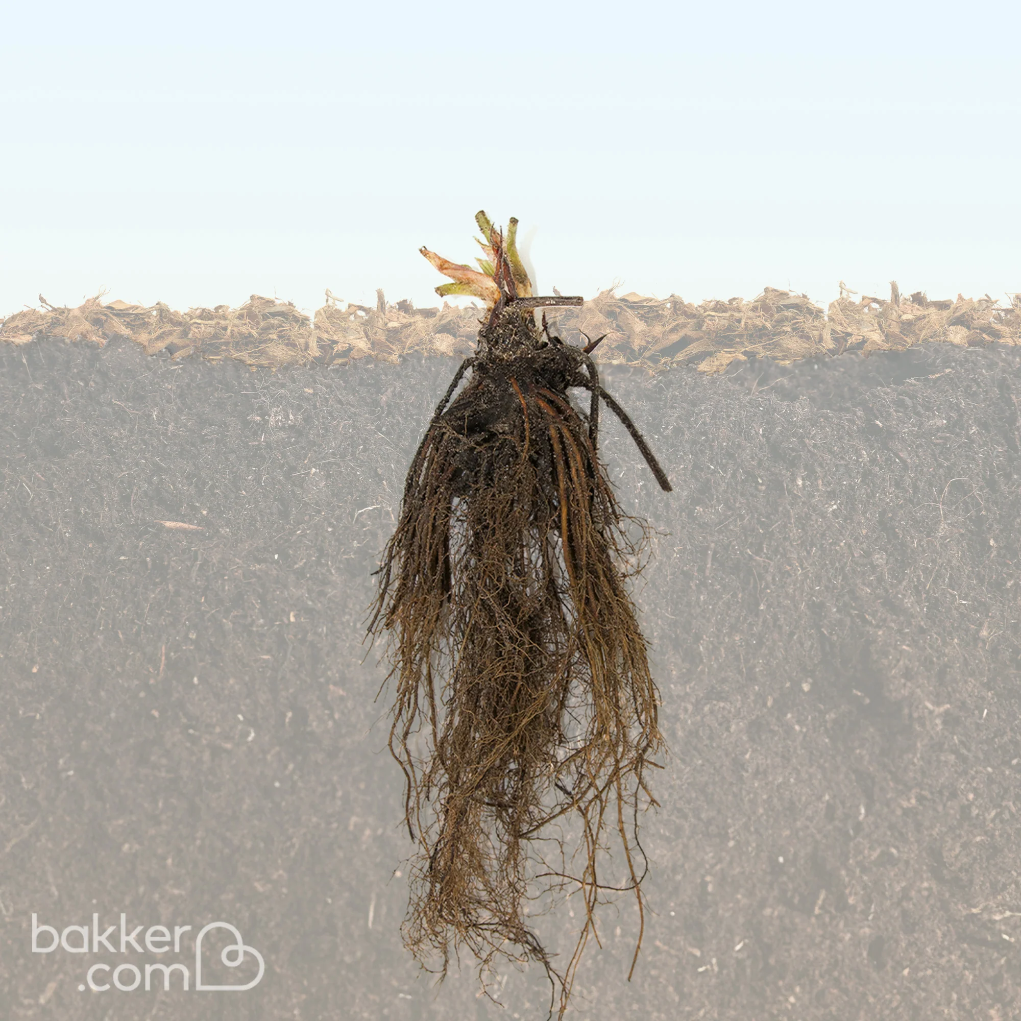 Produktbild 5